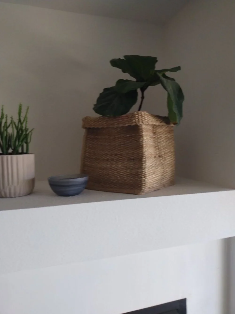 2 jute bins great for many uses